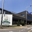 인천강아지분양 테디럽 이미지