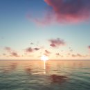 온리원(only one) 이미지