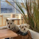 아차산로405번길 이미지