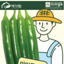 [공동구입]미인풋고추 씨앗 나눔합니다 이미지