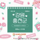 썬플라워3호태양광발전소 | [공지] [강원도 태양광] 강원도 홍천 100kw 3구좌 분양공고