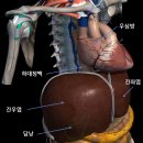 노아한의원 이미지