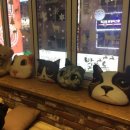 퀸스애비뉴 이미지