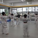 금호태권도장 이미지