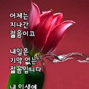 6월11일 화요일 제주사랑방 아침인사 이미지