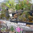 동산농장 이미지