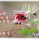 Fade in 이미지