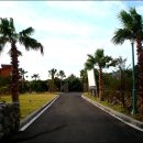 중문리조트 이미지