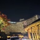 세븐일레븐 홍천현대점 | 1박2일 워크샵 롯데리조트 부여여행 패밀리 분리형 숙박후기