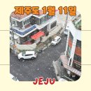 12/11 동백 선캐쳐 | 제주도 항공권 아시아나 A330 탑승후기 좌석지정, 실시간 겨울 제주도 여행 날씨