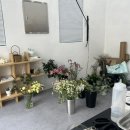 하우스오브플레르