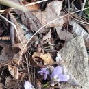 우곡마을입구 이미지