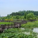 푸른수목원 이미지