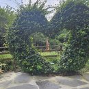 제주민속촌 이미지