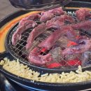 신마포 갈매기 이미지