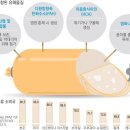 1급 발암물질인데 사람들이 환장하는것 이미지