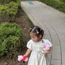 페파스토어 | 페파피그 인형 드디어 국내 공식 출시 3세 아이 선물추천 찾는다면 이건 꼭 보세요