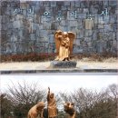 수원교구 중앙성당 | 수원교구 반월성성당과 함께 한 제주성지순례(3/1-3)