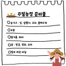평수농장 | 수원 주말농장 준비물 모종 파는 곳 하나로마트 꽃시장 텃밭