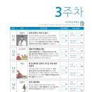 원광초교 이미지