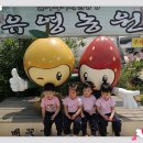유영농장 Daum카페