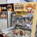 GS25 뉴꽃바위점 이미지