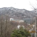 백두농장2 이미지