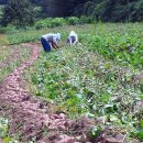 공음농장 이미지