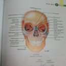 신암유치원 이미지