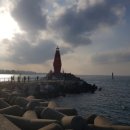 내도동 알작지왓 이미지