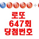 호암마트연수 이미지