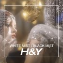 Y.H소프트 | H&amp;Y 화이트미스트 필터/블랙미스트 필터 &#34;감성적인 인물사진&#34;