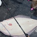 SJ 1호 | 8자 대광어도 끄떡없는 다이와 솔티가 SJ 히라메 SP AGS 65B-3 광어다운샷 로드 추천 출조 후기 !