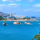 울산 여행 코스 대왕암공원 출렁다리 울산 명소 산책 후기