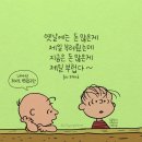 마음드림캘리그라피
