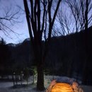 에코야영장 | 치악산 금대야영장 45번 2박 솔로캠핑 다녀왔습니다 25/03