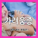 대구가톨릭의원 이미지