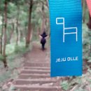 서호동-2 이미지