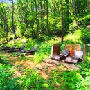 힐링 쉼터 이미지