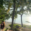 에바파크 | 가오슝 일주일 여행 인천공항 아시아나 라운지 에바항공 BR139편 글루텐프리 기내식 비추 후기 좌석...