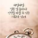 와이씨인터내셔널