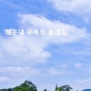 해운대 수목원 둘레길 트레킹 이미지