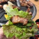 장보고 정육식당 이미지