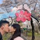 동산막창 이미지