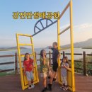 두 바퀴로 그린 자전거 여행 | 강진관광지 강진만생태공원 경치좋은곳 놀이터 산책로 탐방로 강진 아이와 가볼만한 곳