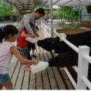 전국목장 이미지