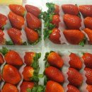 두리농장3 이미지