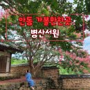 병산서원 종합안내소 | 안동 가볼만한곳 배롱나무 명소 병산서원, 배롱나무 포인트