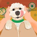 세종종합동물병원 이미지