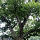 운산리